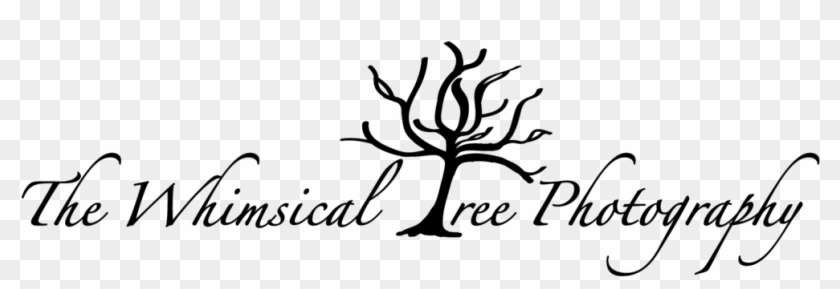   Whimsical Tree Black And White #827562