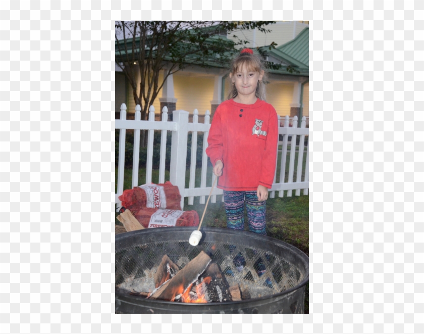 Ocoee Tree Lighting - Barbecue Grill #829023