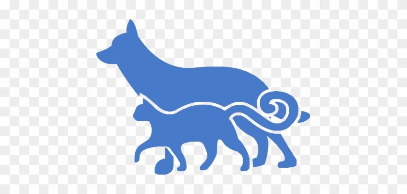 Pet Favicon #829284