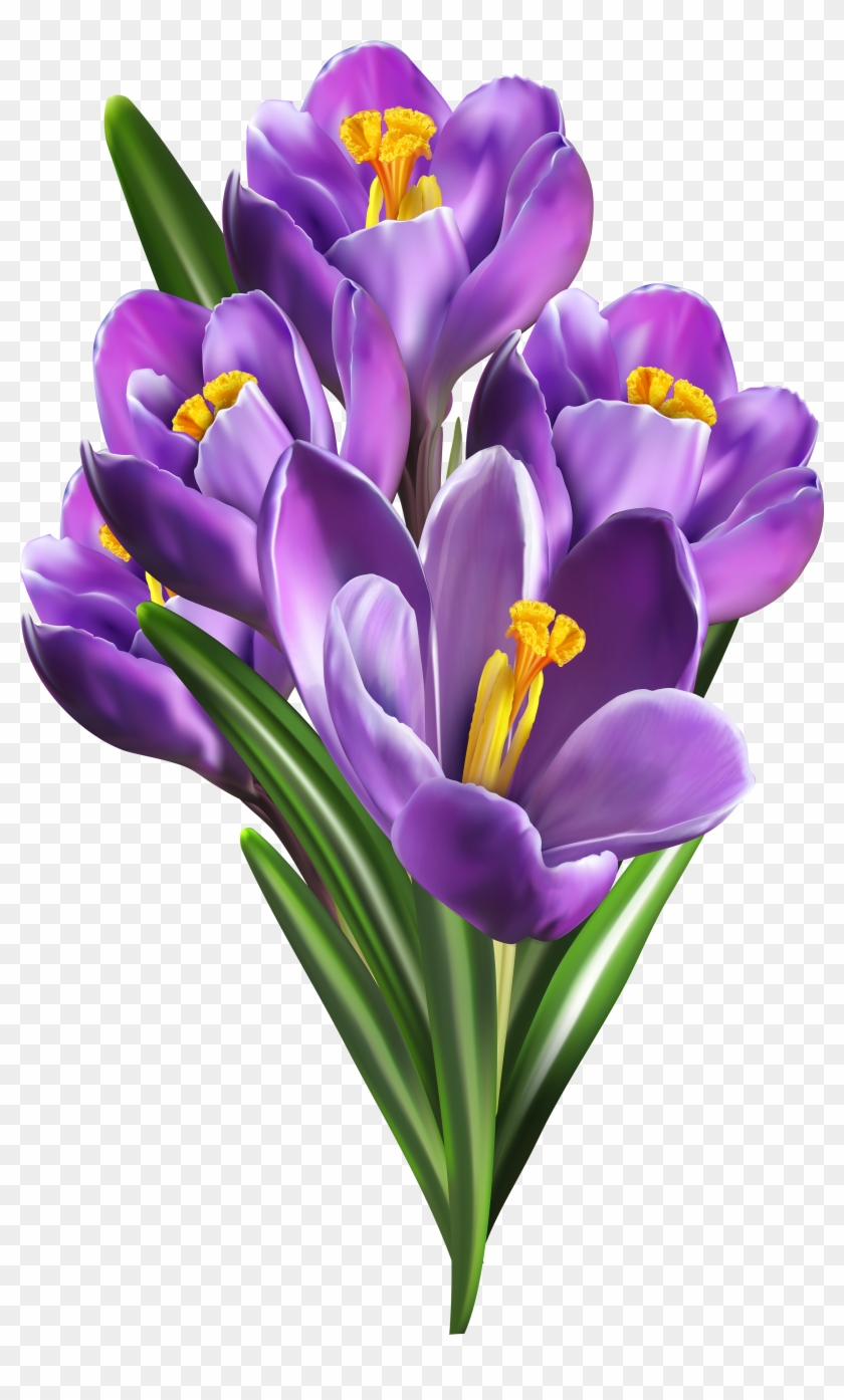 Image File Formats Lossless Compression - Clip Art #830056