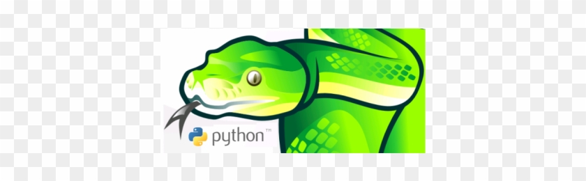 Python: The Ultimate Beginner's Guide! [book] #830189