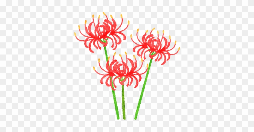 Red Spider Lily - Illustration #830414
