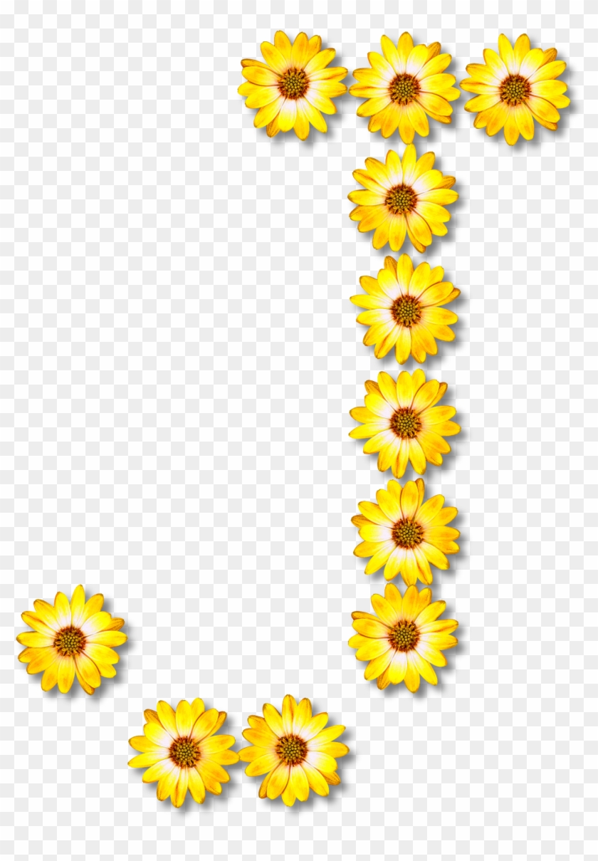 Big Image - Flower #830585
