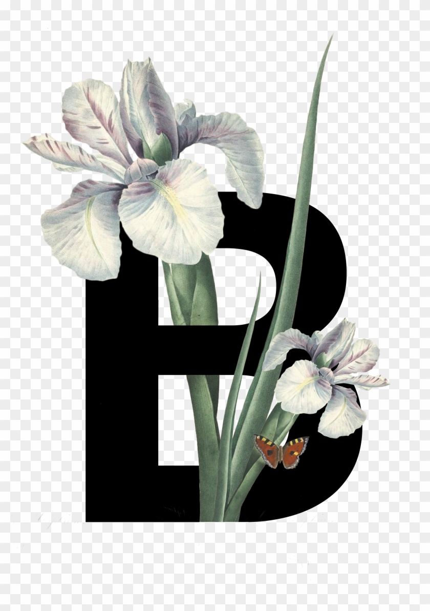 Decorative Type Design - Iris With Butterfly Shower Curtain #830615