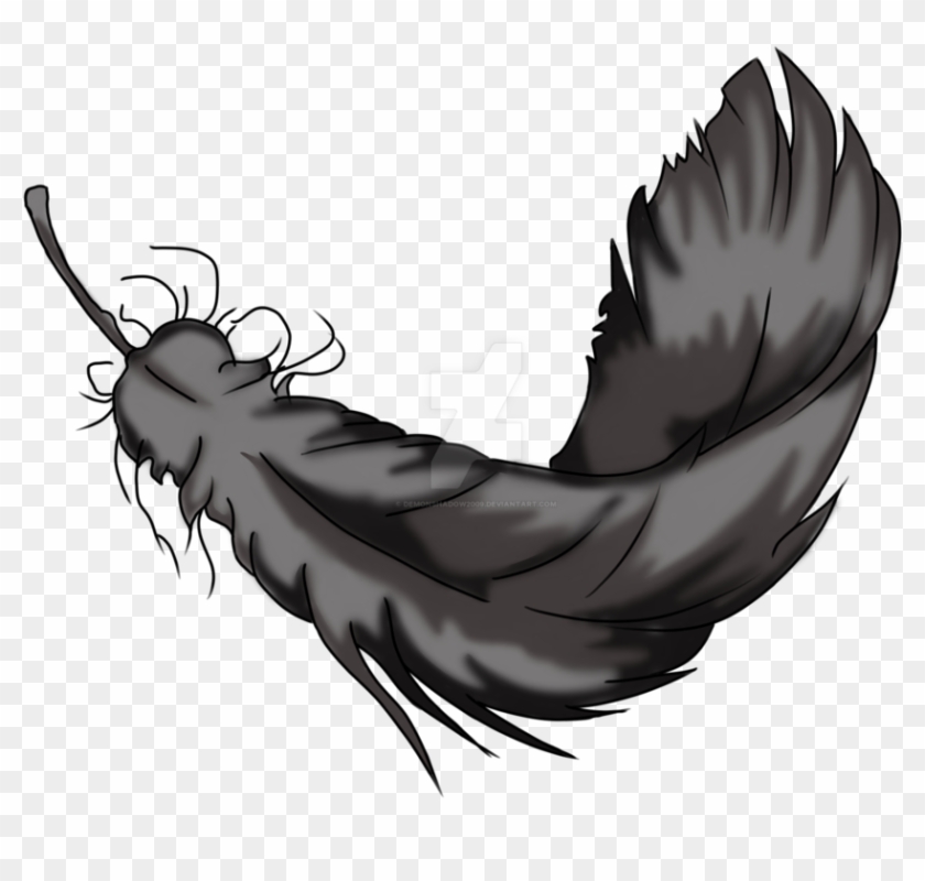 Exploring Item- Raven Feather By Demonshadow2009 - Raven Feather Drawing #830657