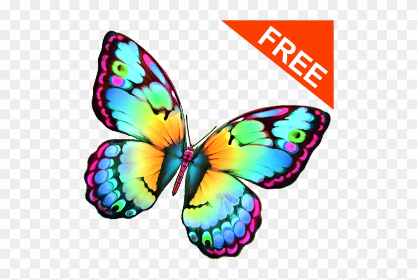 Paint Me A Butterfly Free - Android #831026