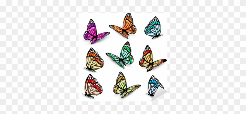 Butterfly Clip Art Realistic - Adesivo De Parede Quartinhos Borboletas Celebration #831077