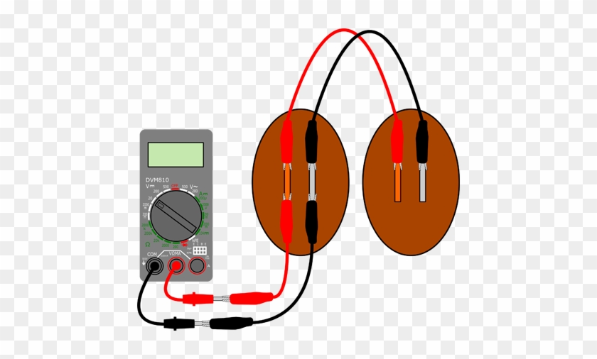 2 Potato Batteries In Parallel Veggie Power 2 In Parallel - Electric Current With A Fruit Or Vegetable Diagram #831936