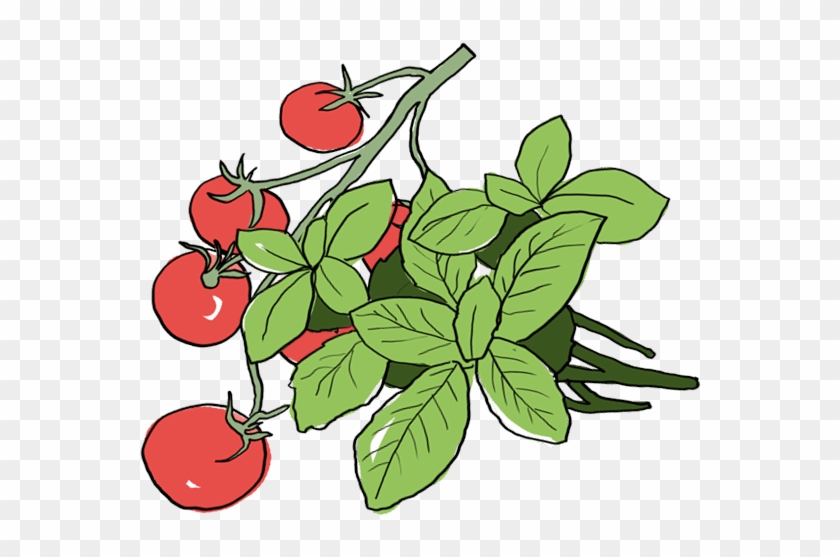 Clip Art #833251