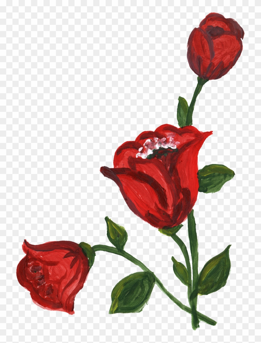 Png File Size - Garden Roses #833455