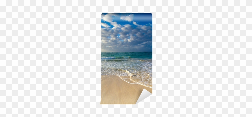 Shore #834110