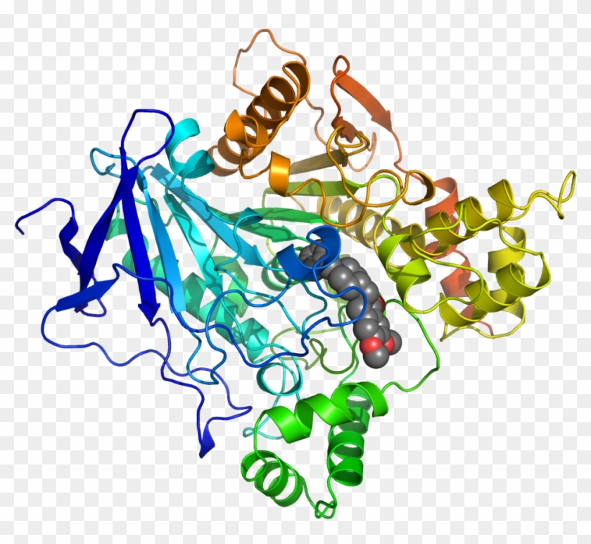 Ache Inhibited By Donepezil 1eve - Acetylcholinesterase Inhibitros #834277