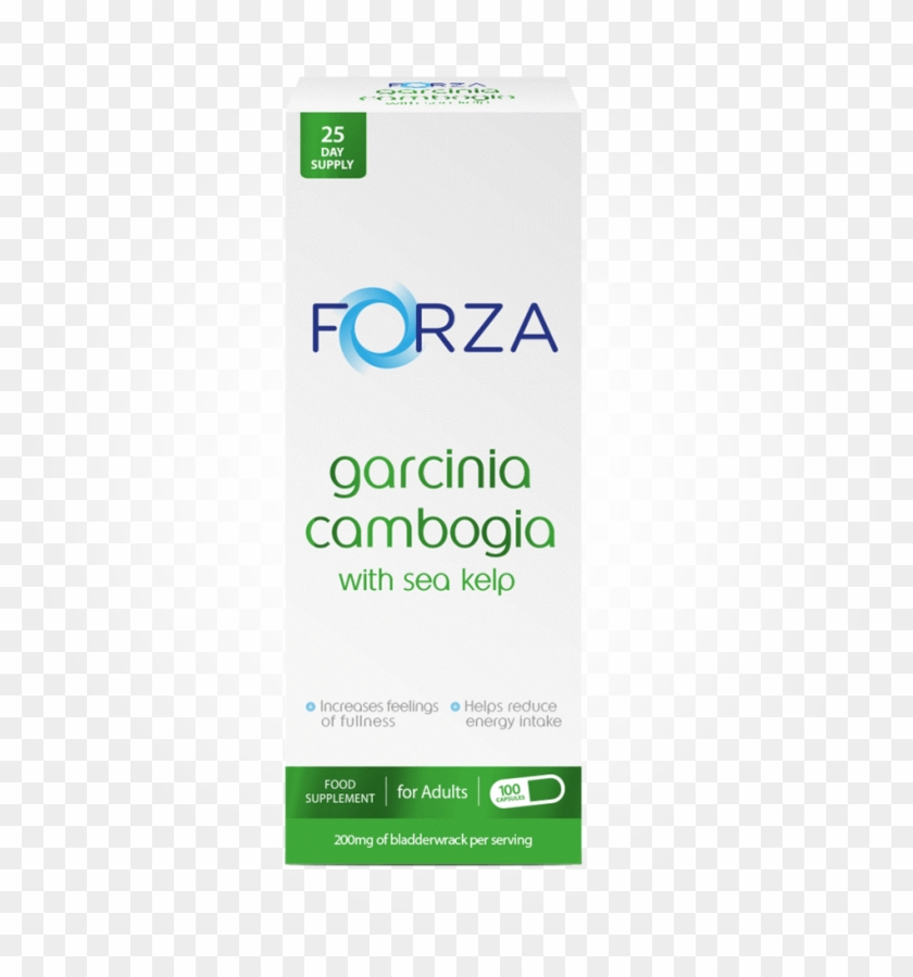 Previous - Forza #834304