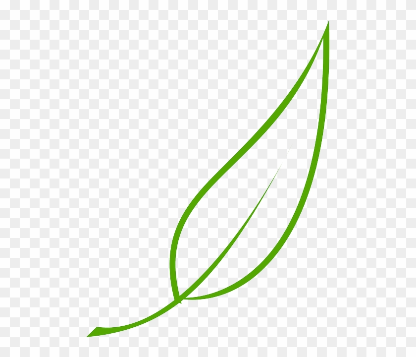 Green, Outline, Drawing, Leaf, Cartoon, Free, Color - Leaf Clipart Vector #834456