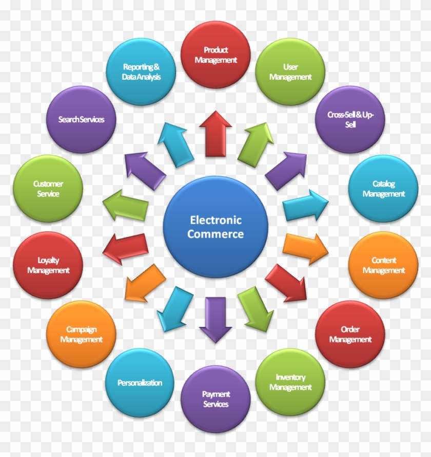 Ecommerce Website Services - Field Of Information Technology #835239