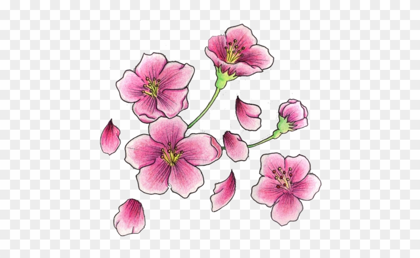 Best 25 Dragon Koi Fish Ideas On Pinterest - Cherry Blossom Tattoo Design #835270