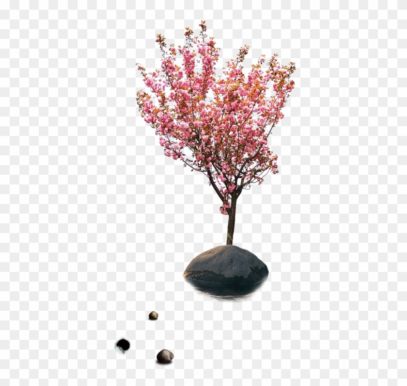 樱花（学名：cerasus Sp - Artificial Flower #835449