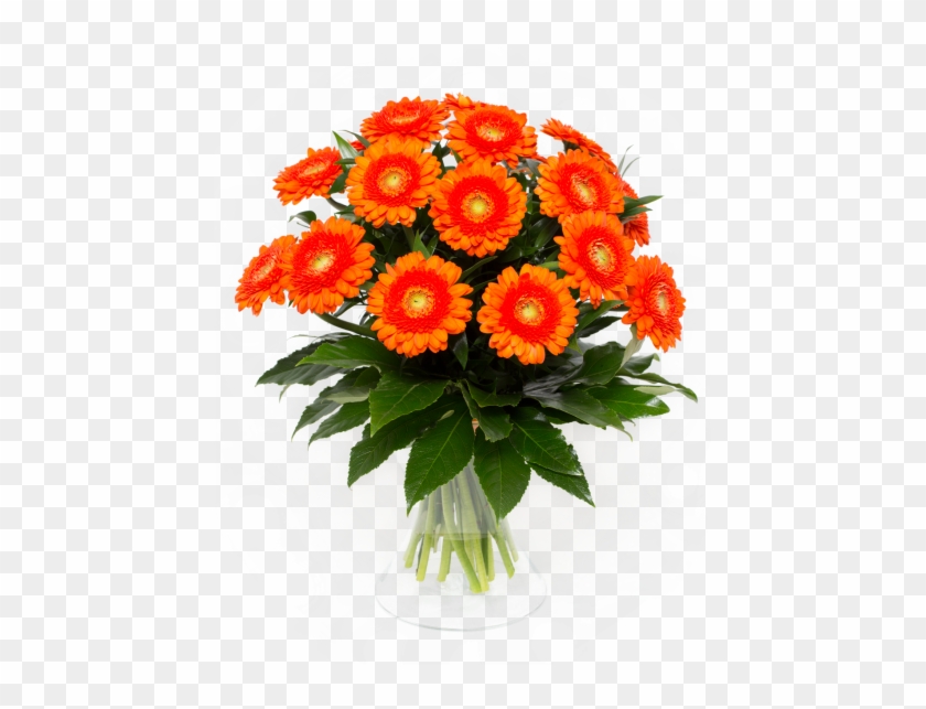Zoom - Orange #835463