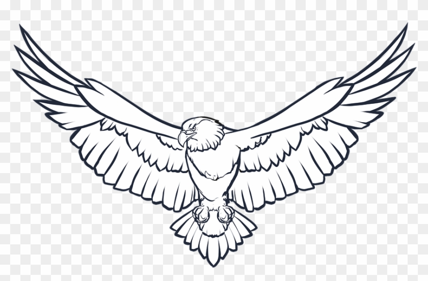 Eagle Art Story - Eagle Black And White #835944