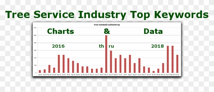 See The Top 6 Keywords For Tree Service Companies - Multiculturalism In Australia #836118