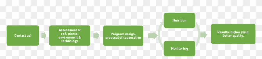 The Process Of Fitopedon® Service - Parallel #836161