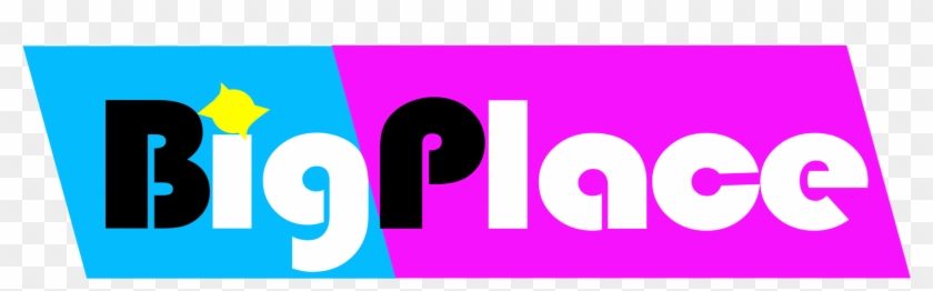 Bigplacelogo - Policy #836247