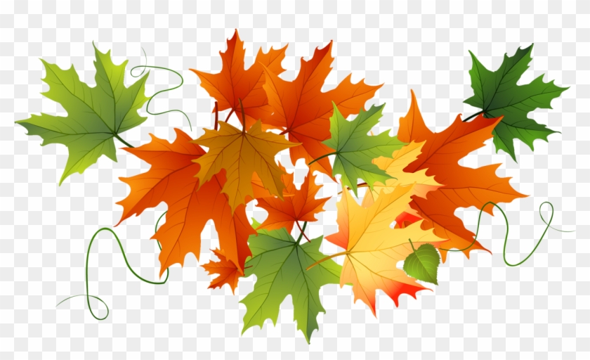 Autumn Transparent Leaves Gallery Yopriceville - Fall Leaves Clear Background #837236