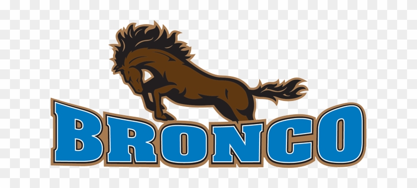 Bronco Plumbing And Heating - Bronco Plumbing Ltd #839091