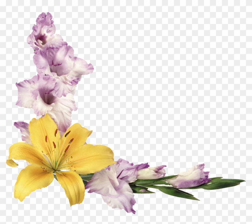 Imágenes De Flores Grandes En Png - Birthday Card For A Beautiful Lady Card #839363