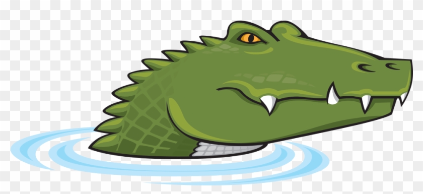 Alligator - North Carolina #840637
