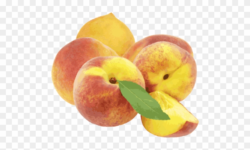 Peach Clip Art Free Clipart - Clip Art #841921