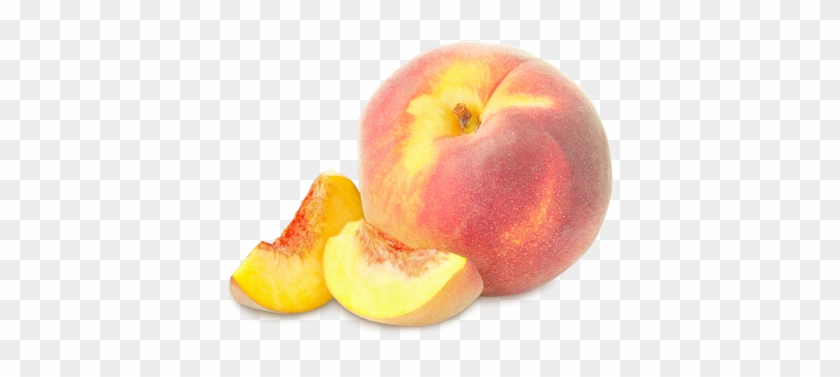Percoca Png #842031