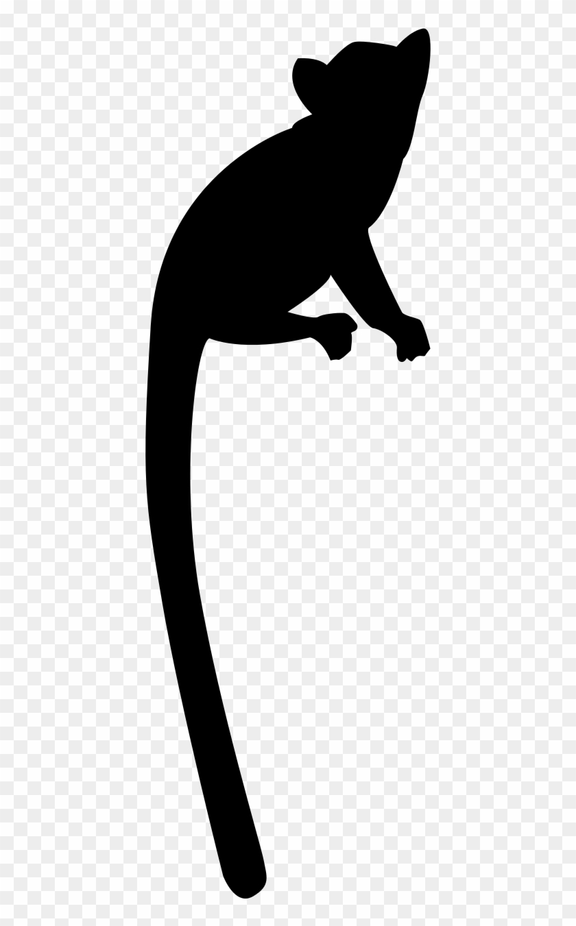 Open - Silhouette #842049