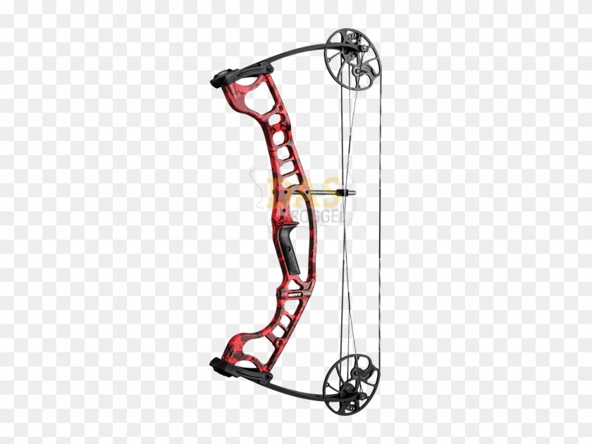 Picture Of Hoyt Compound Ignite 28" - Hoyt Bow #842614