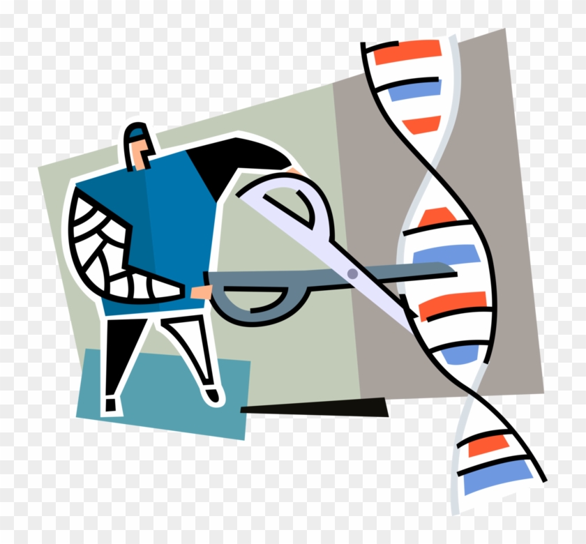 Vector Illustration Of Biological Geneticist Scientist - Vector Illustration Of Biological Geneticist Scientist #842906