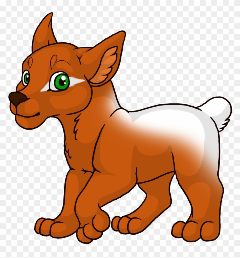 Vcjcowp - Companion Dog #844690