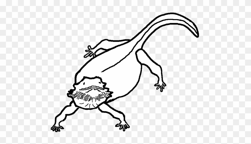 Pin Dragon Clipart Black And White - Bearded Dragon Head Drawing #845243