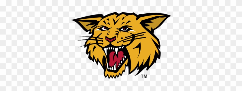 Moncton Wildcats Mascotte - Moncton Wildcats #845689