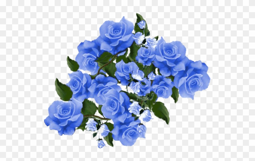 Blue Roses - Assalam O Alaikum In Urdu #846181