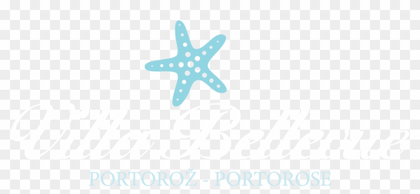 Starfish #846919