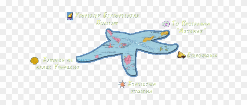 Starfish #846923