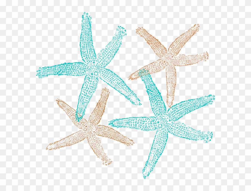 Starfish Prints Svg Clip Arts 600 X 559 Px - Transparent Background Starfish Clipart #847007