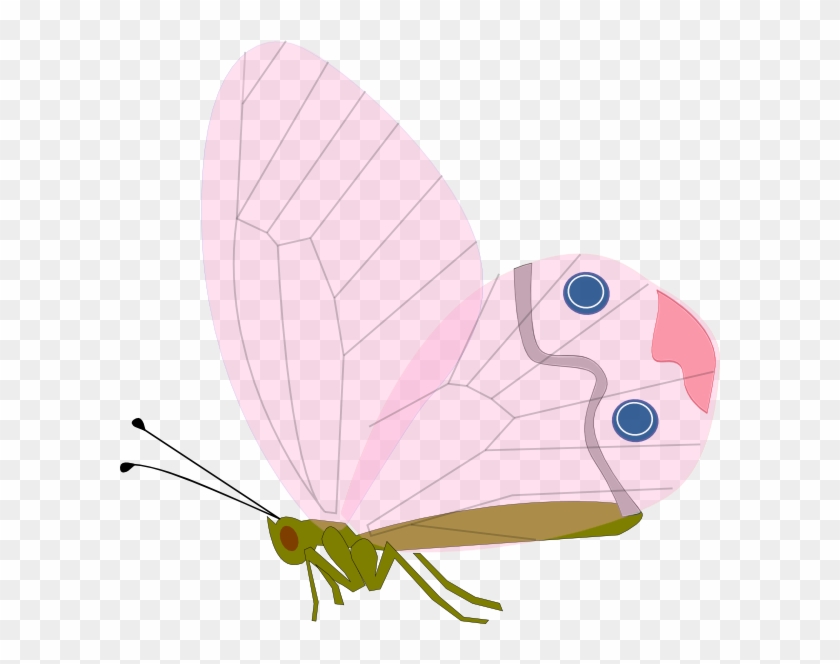 Free Butterfly Clip Art - Zuglnhv Png #847135