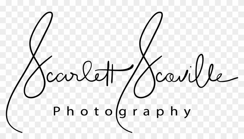 Calligraphy #847144