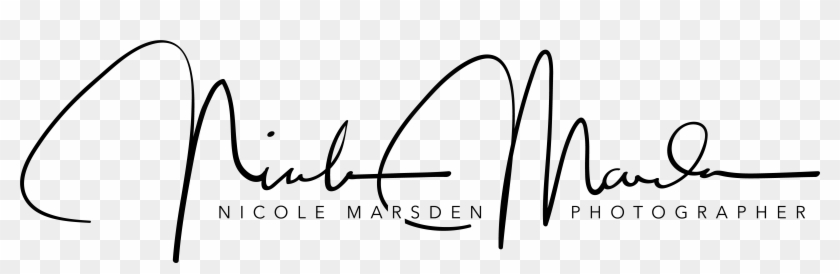 Calligraphy #847177