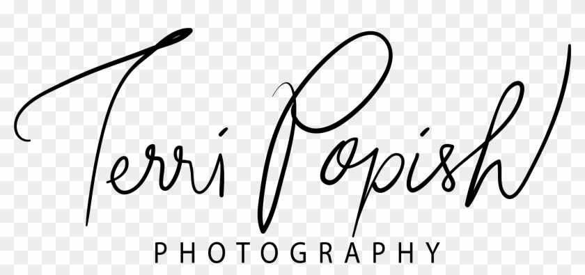 Terri Popish Photography - Calligraphy #847224
