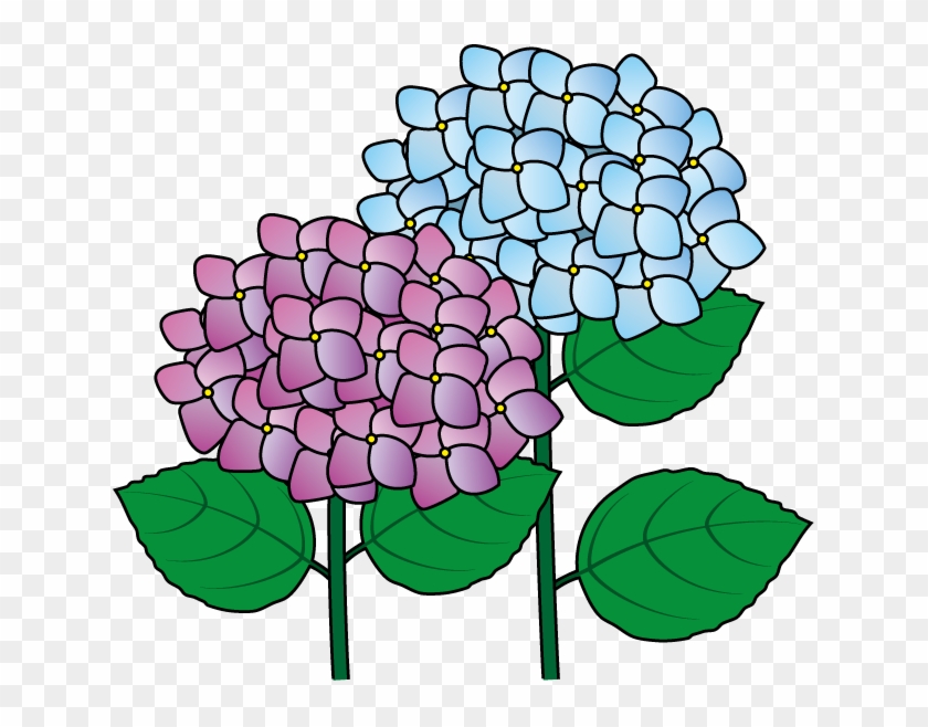Hydrangea Clipart - Clipart Best - Hydrangea Clipart - Clipart Best #847885