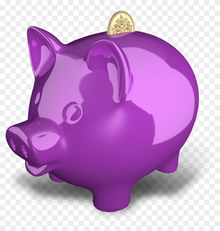Practical Methods - Domestic Pig #849544