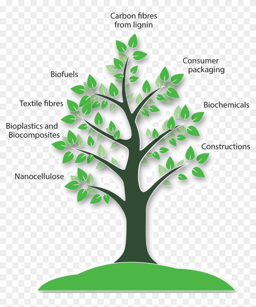 Parts Of Bioeconomy Innovation Forum - Bioeconomy Innovation #850068