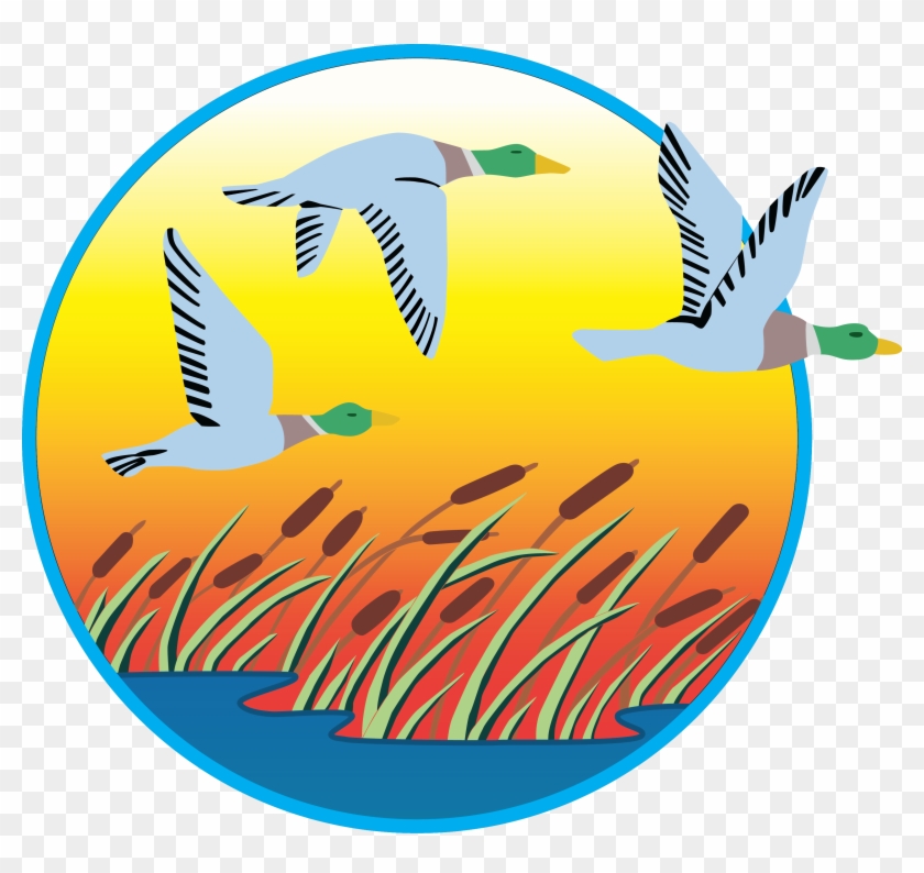 Do You Support Lowering The Speed Limit On U - Ducks, Geese And Swans #850392